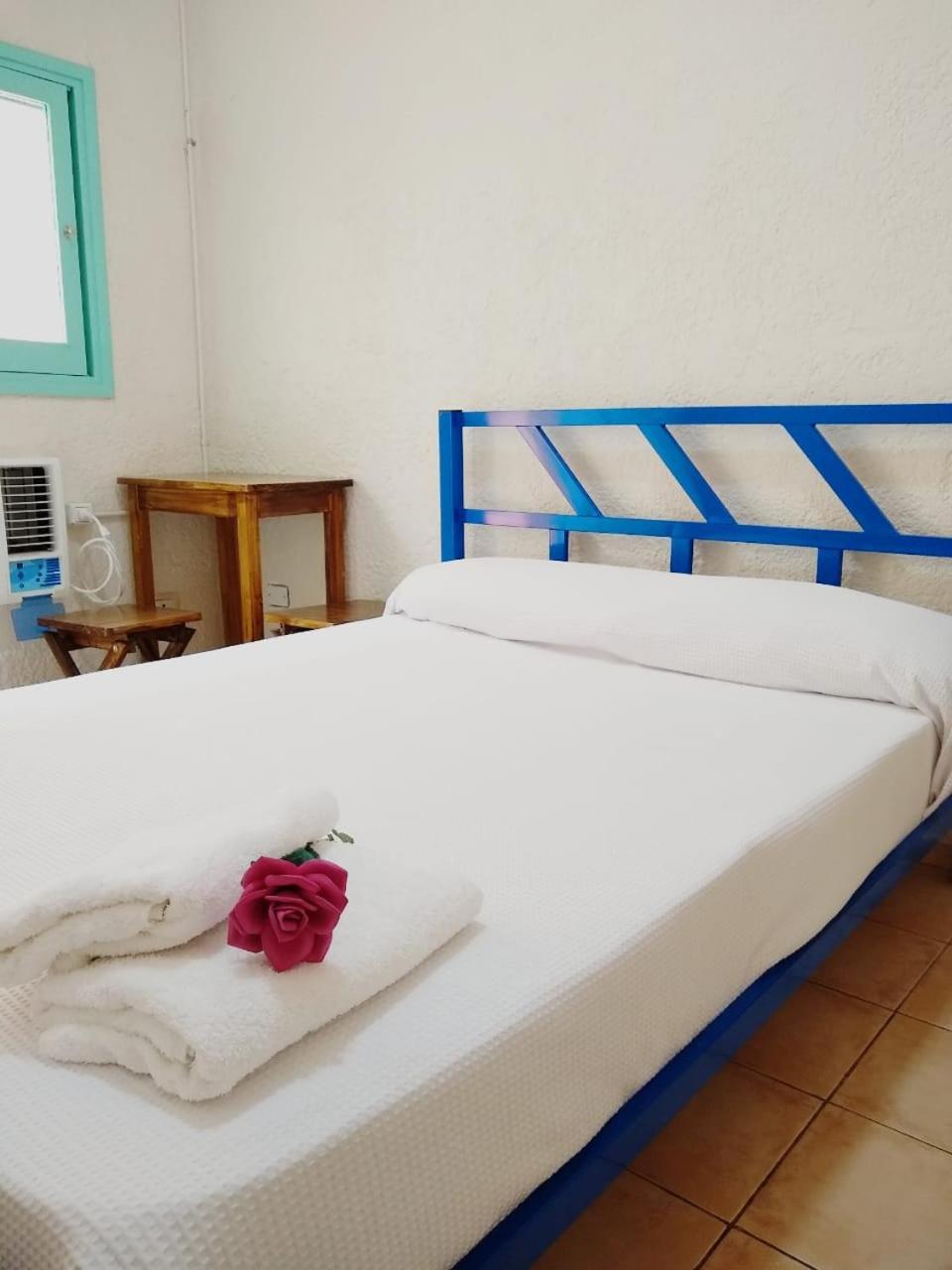 Black Sheep International Hostel Mendoza Eksteriør billede